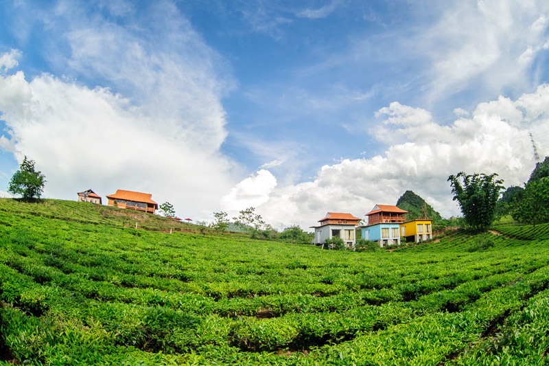 Homestay, một trong những địa điểm nghỉ ngơi tốt nhất ở Mộc Châu