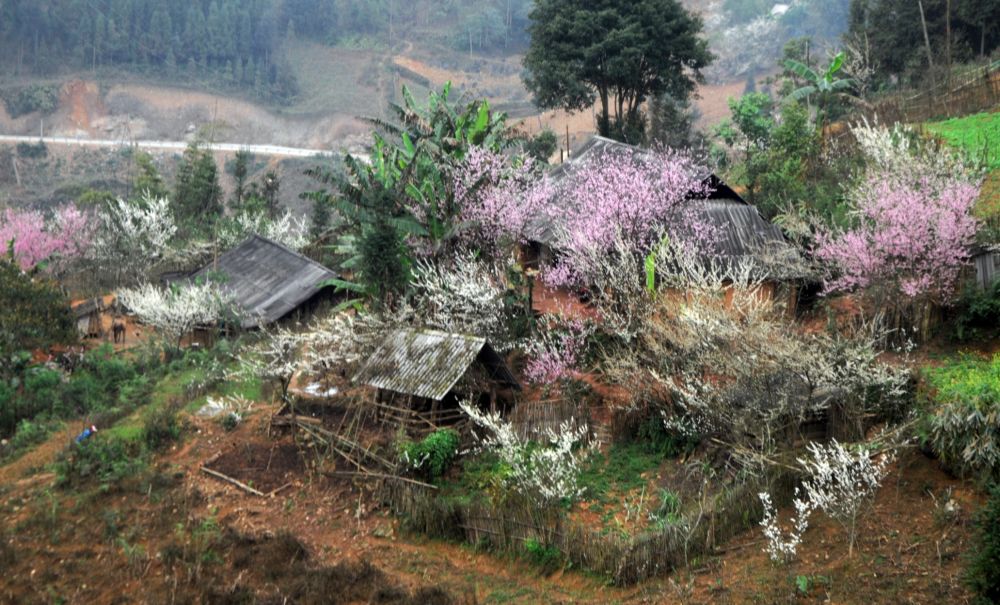 Có một Mộc Châu bình yên, nhẹ nhàng khi chiều tà