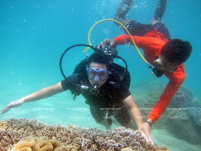 lặn biển ngắm san hô ở nha trang 